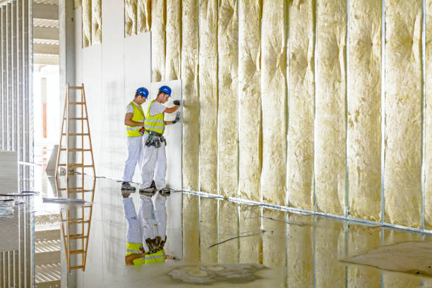 Best Commercial Insulation in Delisle, MS